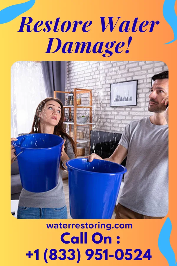 water restoration Pro Flood Mitigation Masters Argos