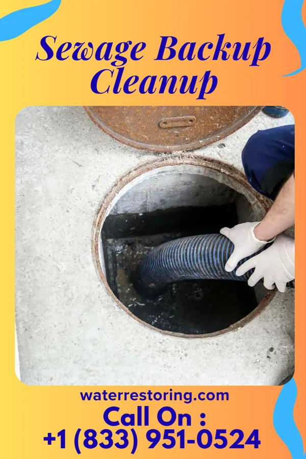 Sewage Backup Cleanup in Argos, IN