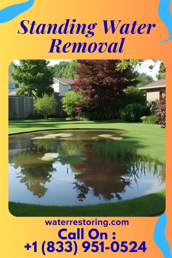 Standing Water Removal in Argos, IN